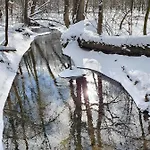 Magiczna Wenecja * Cieszyn (Silesia)