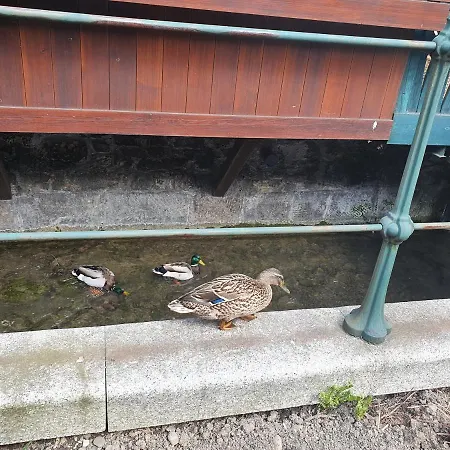 דירה Magiczna Wenecja *