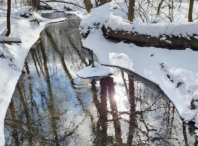 Magiczna Wenecja * Cieszyn (Silesia)