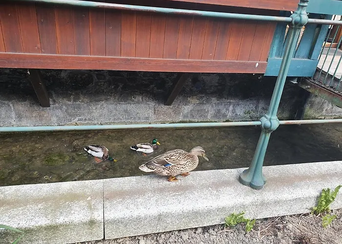 Appartement Magiczna Wenecja *