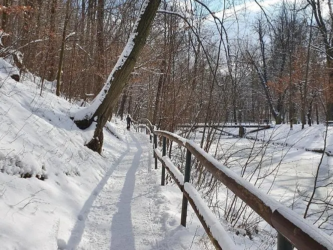 Magiczna Wenecja דירה צ'שין